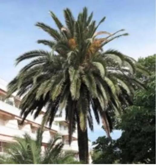 Eden Apartment Saint Tropez Ruang foto